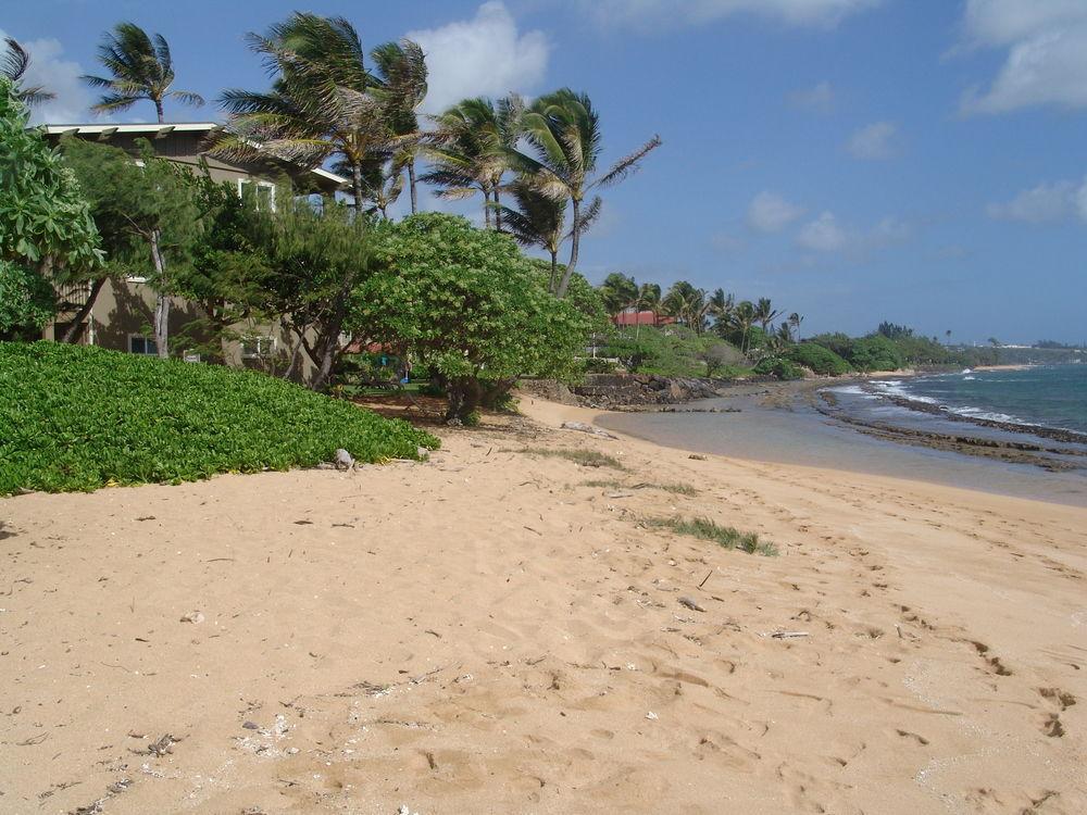 Castle Kauai Kailani Lejlighed Kapa'a Eksteriør billede