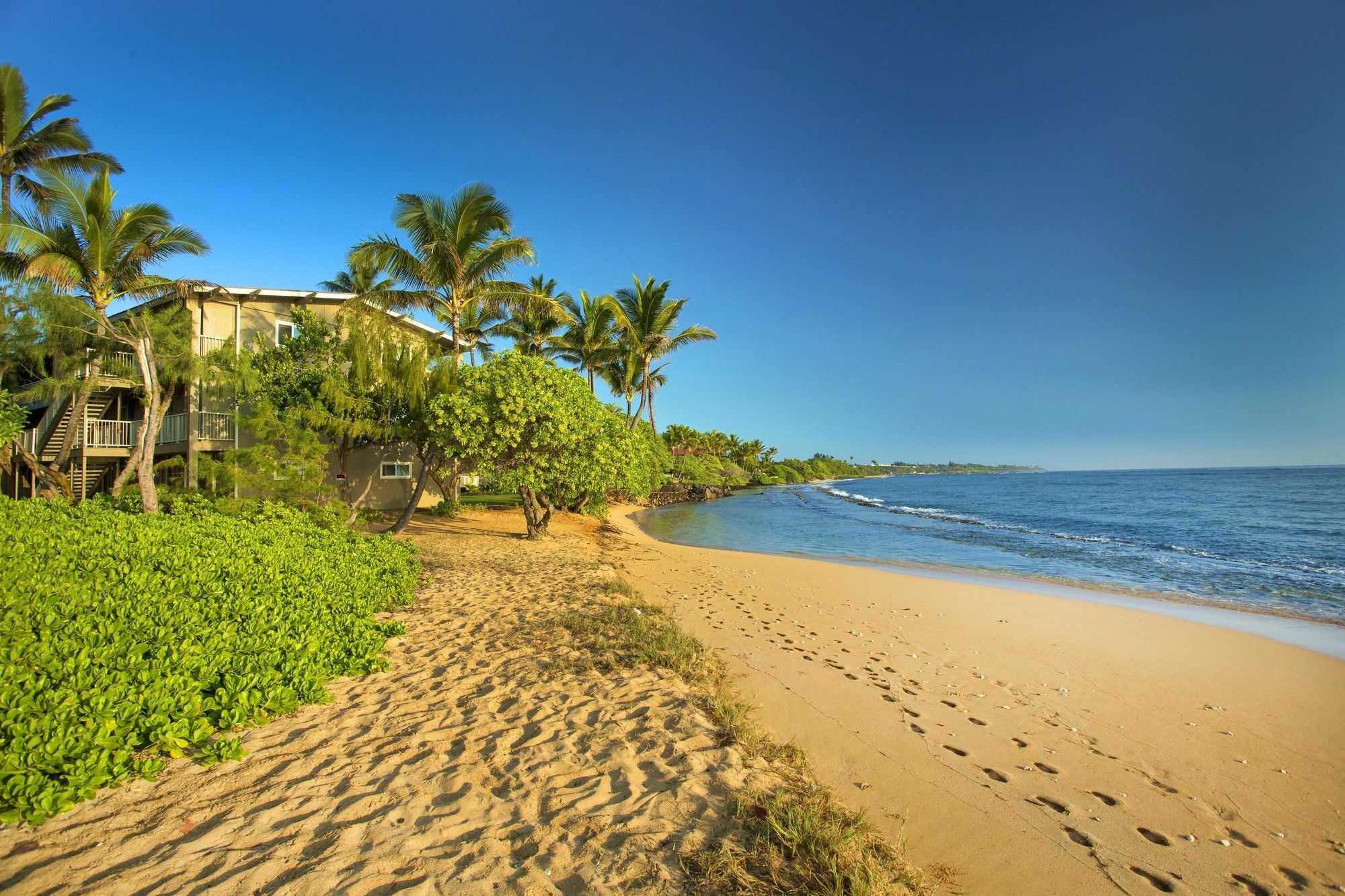 Castle Kauai Kailani Lejlighed Kapa'a Eksteriør billede